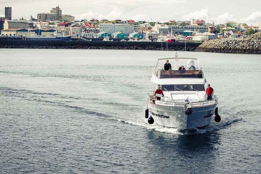 Reykjavik: Whale Watching and Dolphin Watching Yacht Cruise - From Reykjavik Old Harbour to Faxafloi Bay: how the 3 hours feel