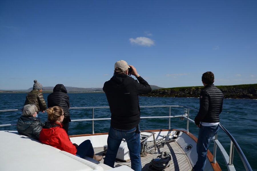 Reykjavik: Whale Watching and Dolphin Watching Yacht Cruise - Wi‑Fi, live photos, and why small extras matter on the water