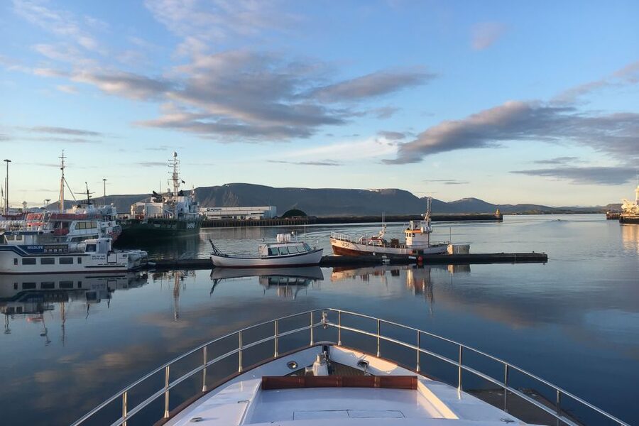 Reykjavik: Whale Watching and Dolphin Watching Yacht Cruise - MY Harpa vs MY Amelia Rose: choosing the right yacht vibe