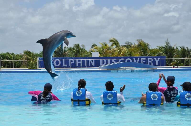 Riviera Maya: Dolphin Encounter with Beach Club Access - Getting to Dolphin Discovery Maroma and what to bring