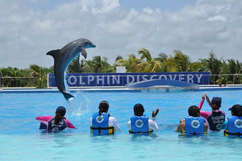 Riviera Maya: Dolphin Encounter with Beach Club Access - Timing, rules, and small details that can make or break your day