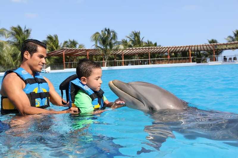 Riviera Maya: Dolphin Encounter with Beach Club Access - Who this is for (and who should think twice)