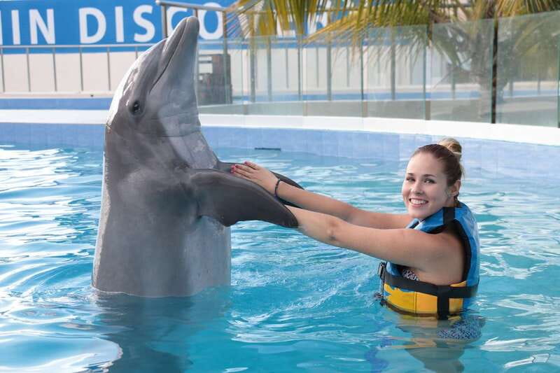 Riviera Maya: Dolphin Encounter with Beach Club Access - Should you book this dolphin encounter with Maroma Beach Club access?