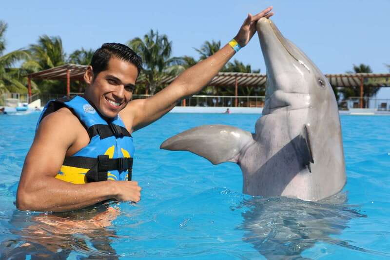 Riviera Maya: Dolphin Encounter with Beach Club Access - The dolphin encounter: briefing, underwater platform time, and handshakes