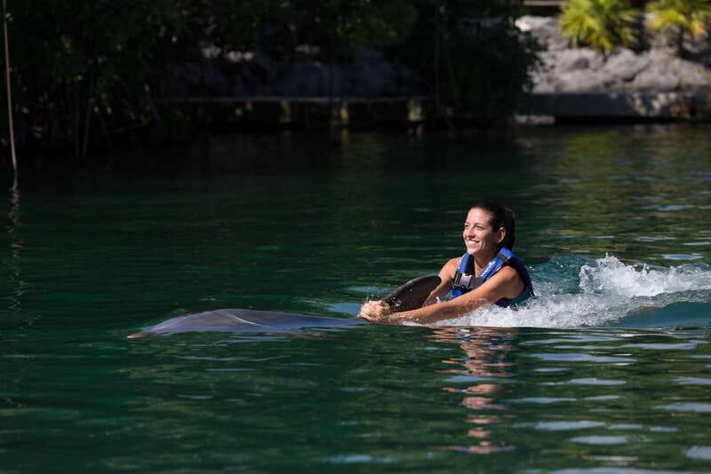 Riviera Maya: Swim with dolphins Interax - Key Things I’d Bank On Before You Go