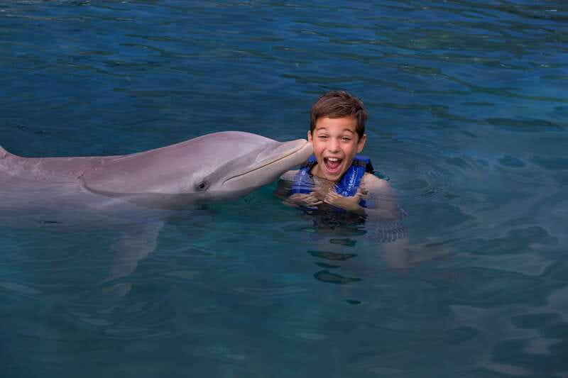Riviera Maya: Swim with dolphins Interax - Where You’ll Meet (And Why That Location Matters)