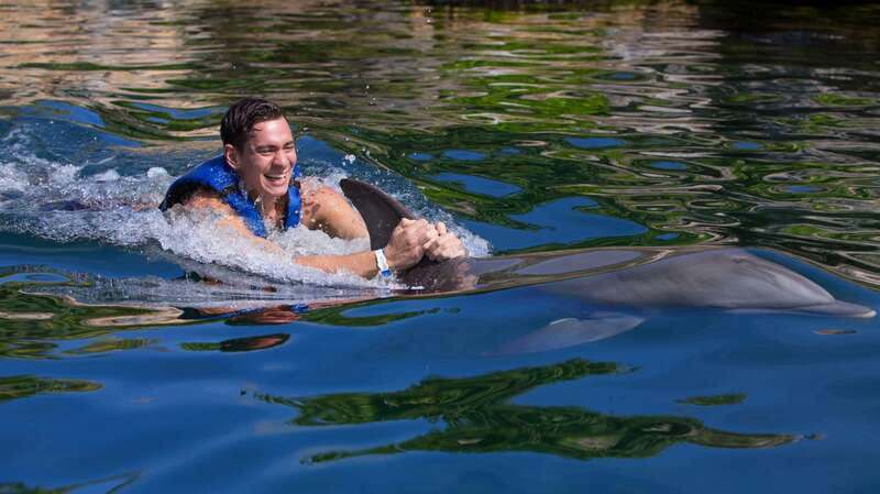 Riviera Maya: Swim with dolphins Interax - What’s Included (And What You’ll Need to Cover Yourself)