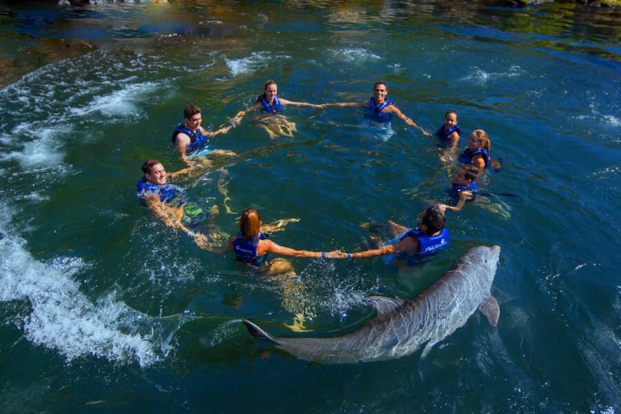 Riviera Maya: Swim with dolphins Interax - Getting Ready: What to Bring and What to Leave Behind