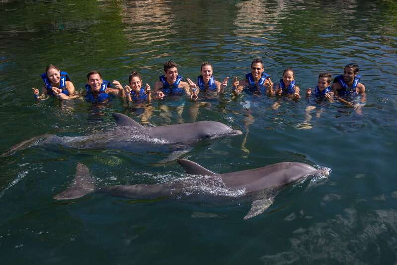 Riviera Maya: Swim with dolphins Interax - Inside the Dolphin Interaction: Welcome to Dolphin Kiss