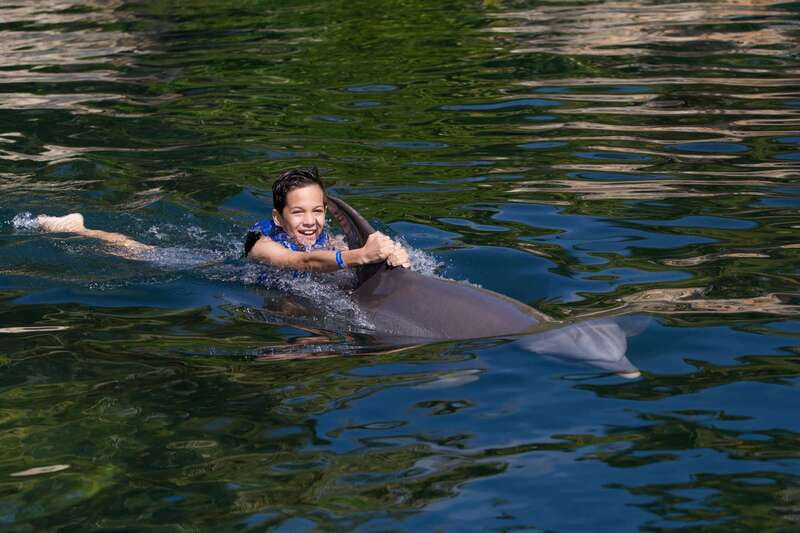 Riviera Maya: Swim with dolphins Interax - Park Atmosphere and Staff Help You’ll Actually Notice