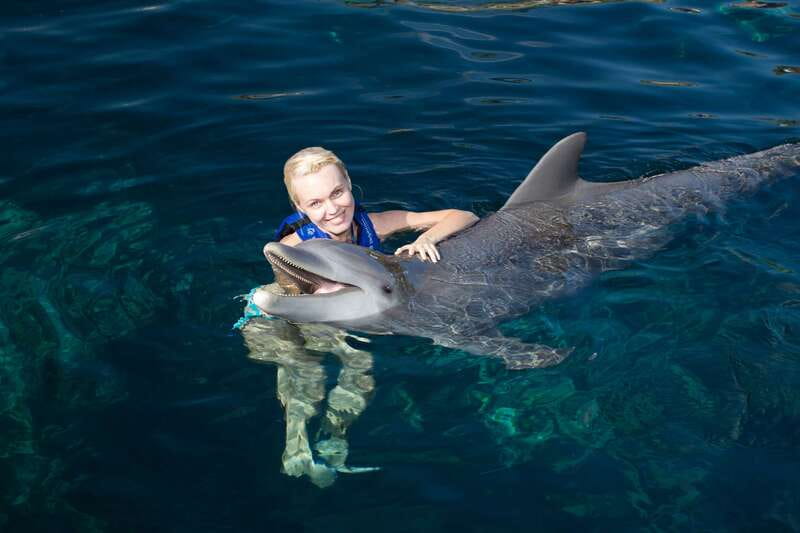 Riviera Maya: Swim with dolphins Interax - The 45-Minute Timeline: How the Water Time Gets Used
