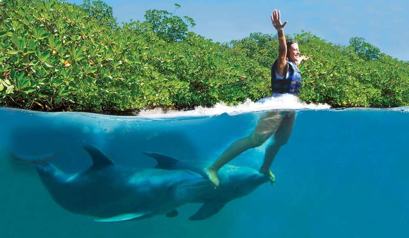 Riviera Maya: Swim with dolphins Primax - Key points at a glance