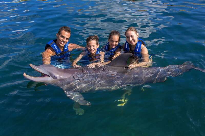 Riviera Maya: Swim with dolphins Primax - Riviera Maya Dolphin Time: what the Delphinus Primax program really is