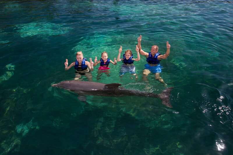 Riviera Maya: Swim with dolphins Primax - The 18 in-water activities: play plus learning