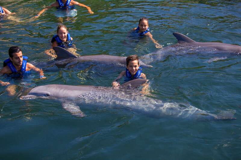 Riviera Maya: Swim with dolphins Primax - The 15-minute dolphin snorkel: how to make it work