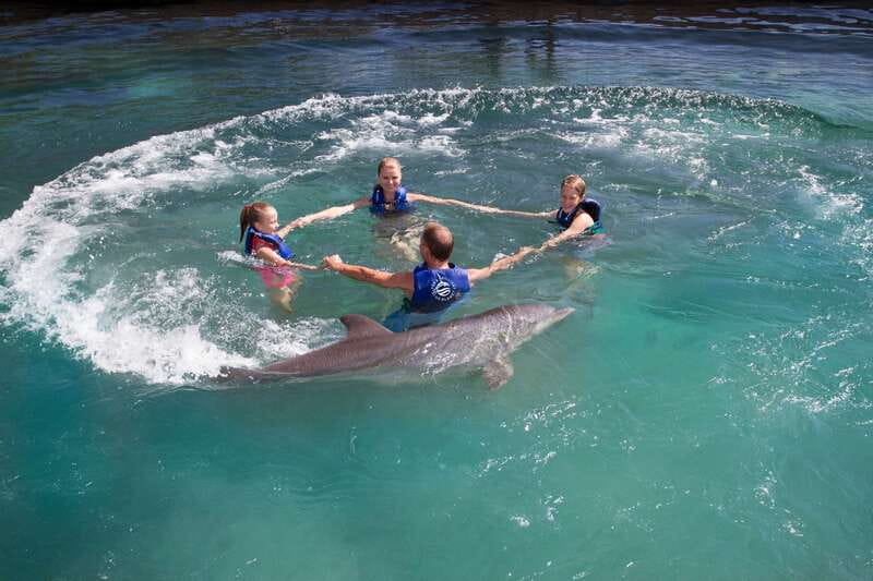Riviera Maya: Swim with dolphins Primax - Meeting point near Xcaret Park: easy to find, not remote