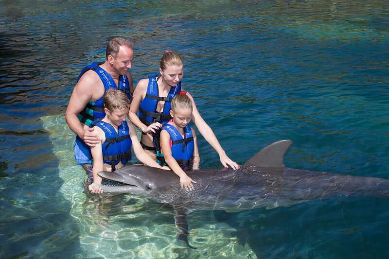 Riviera Maya: Swim with dolphins Primax - Price and value: is $197 per person a fair deal?