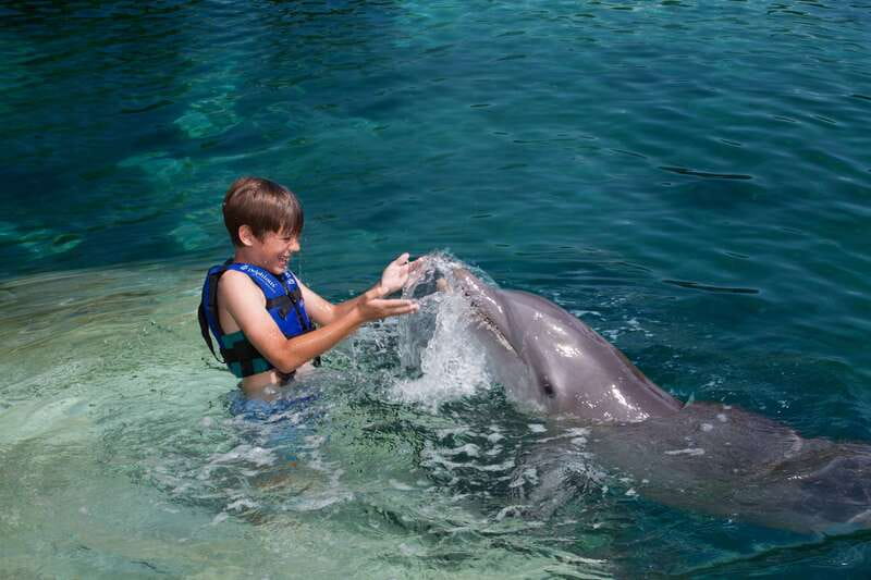 Riviera Maya: Swimming Experience with Dolphins - The real schedule: 45 minutes on the clock, 20 minutes with dolphins