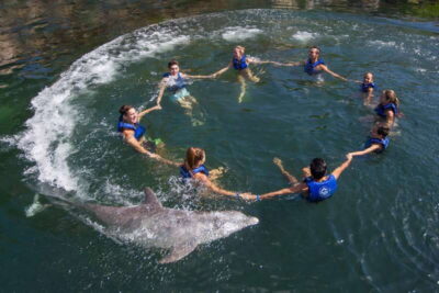 Riviera Maya: Swimming Experience with Dolphins - Where to meet (and why Xcaret parking matters)