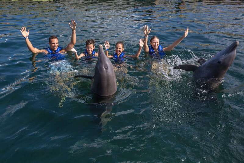 Riviera Maya: Swimming Experience with Dolphins - Photos, phones, and jewelry rules: plan for a device-free memory