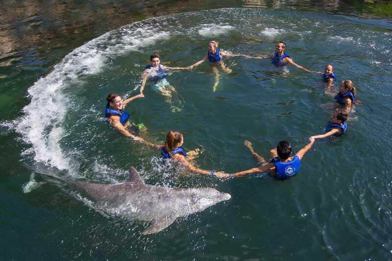 Riviera Maya: Swimming Experience with Dolphins - Who should book (and who should adjust expectations)
