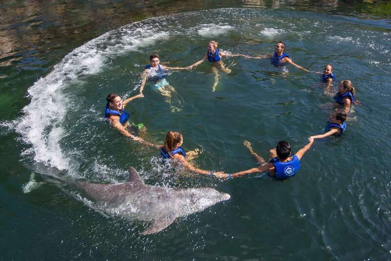 Riviera Maya: Swimming Experience with Dolphins - Where to meet (and why Xcaret parking matters)