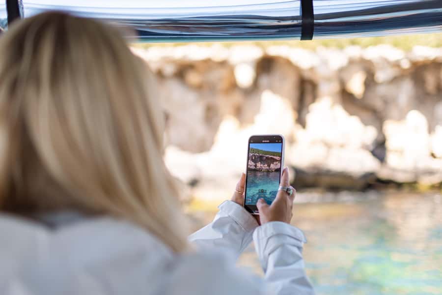 Rockingham: Shoalwater Islands, Dolphins, and Sea Lions Tour - Weather, Wind, and the Reality of Wild Animals