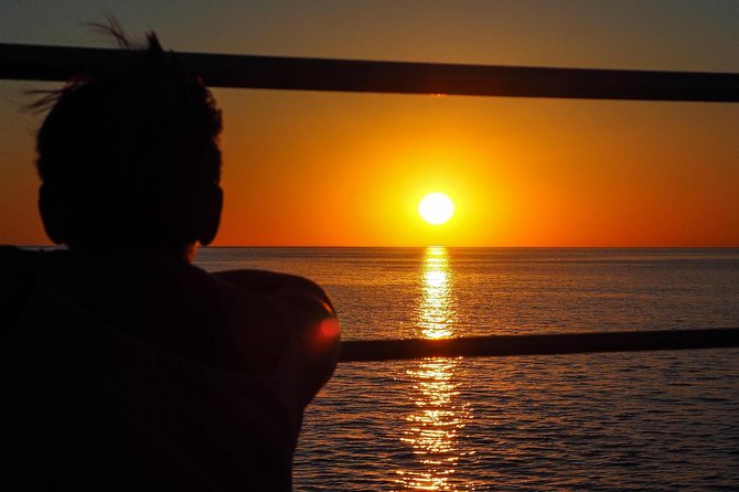 Roebuck Bay Sunset & Snubfin Dolphin Cruise - Key things worth knowing before you go
