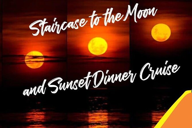 Roebuck Bay Sunset & Snubfin Dolphin Cruise - Onboard comfort and refreshments: what you get, and what to plan for