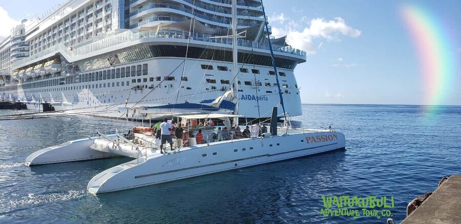 Roseau: Guided Dolphin and Whale Watching Tour With Drinks - The boat ride reality: you’ll likely get wet, and that changes packing