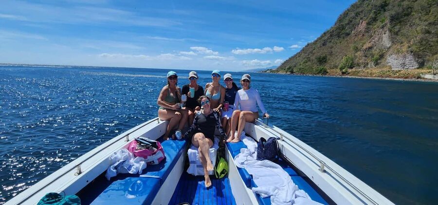 Roseau: Guided Dolphin and Whale Watching Tour With Drinks - Who should book this dolphin and whale tour—and who should skip it