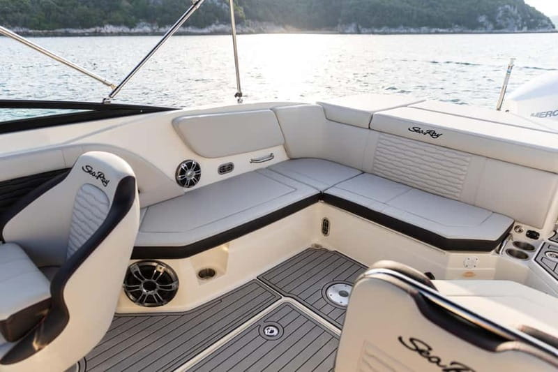 Rovinj: Dolphin Watching Sunset Speedboat Tour with Drinks - Who should book this Rovinj dolphin sunset tour