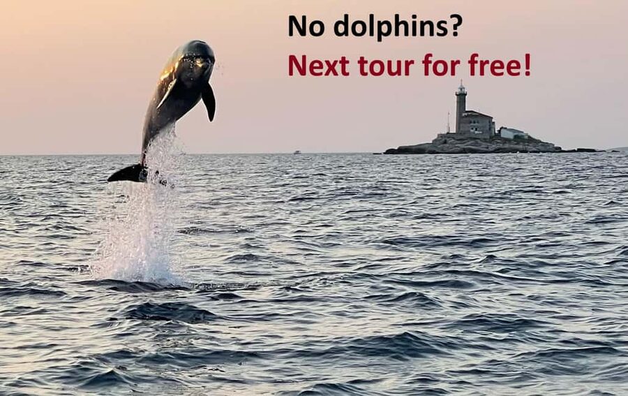 Rovinj: Dolphin Watching Sunset Speedboat Tour with Drinks - Setting sail in Rovinj: what makes this dolphin tour different