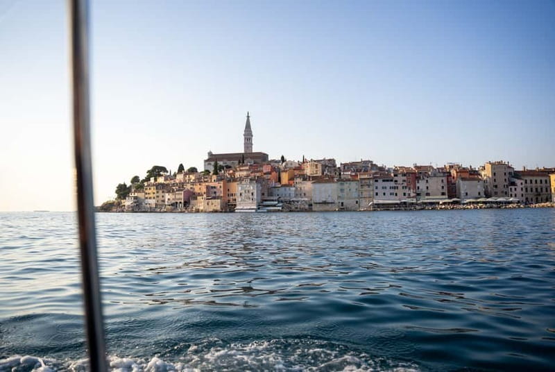 Rovinj: Dolphin Watching Sunset Speedboat Tour with Drinks - Guides and the dolphin “rules” that actually matter
