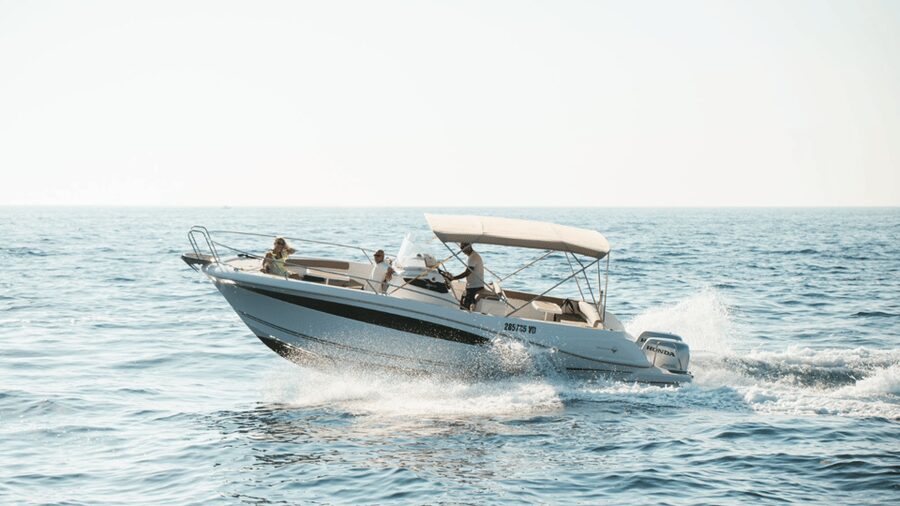 Rovinj: Family Friendly Dolphin Watching Tour - Key highlights