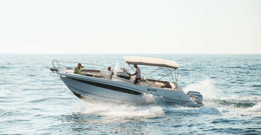 Rovinj: Family Friendly Dolphin Watching Tour - Dolphins plus a sunset timetable in Rovinj
