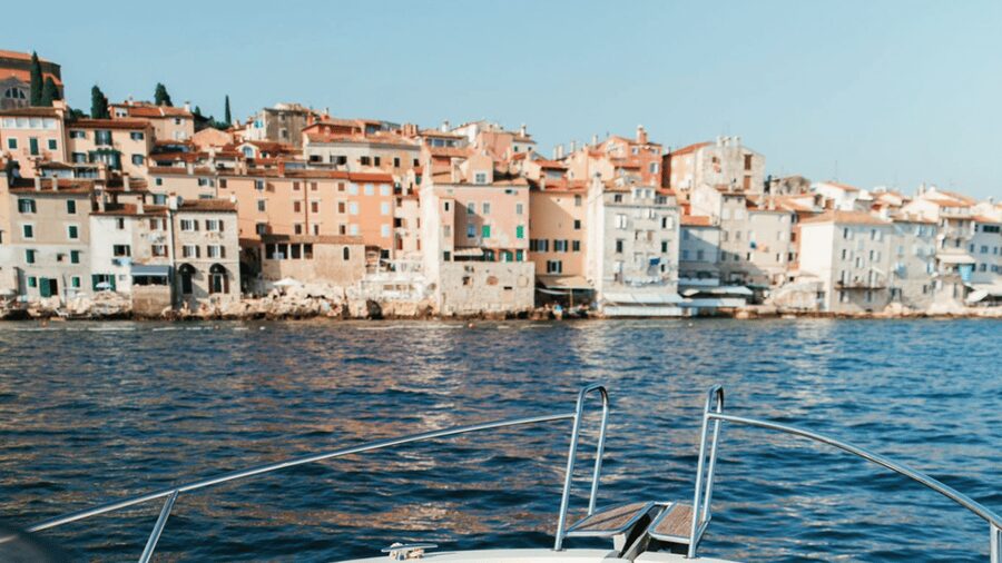 Rovinj: Family Friendly Dolphin Watching Tour - Price and value: what $57 buys you in Rovinj