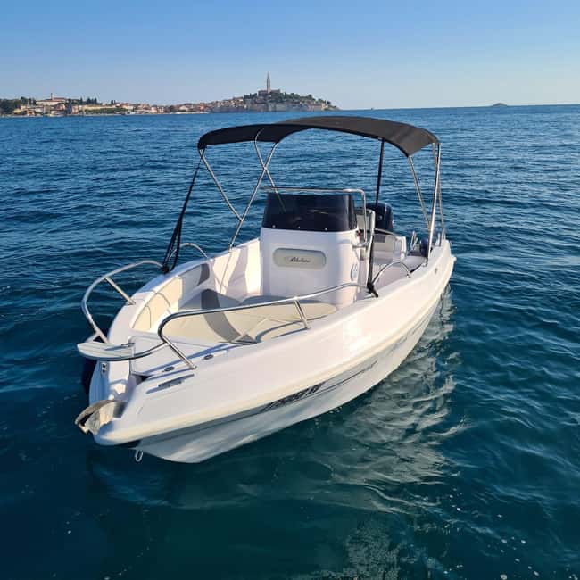 Rovinj: Shared Dolphin and Sunset Tour with Drinks - Who this tour is best for