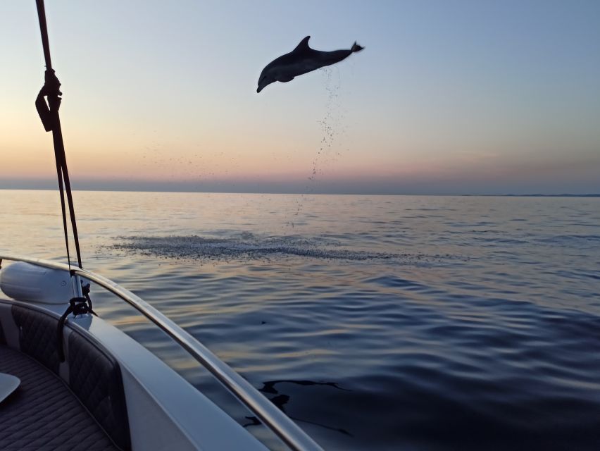 Rovinj: Sunrise Dolphins & Fishermen at Work Speedboat Tour - Fishermen at work: the real-world lesson built into the cruise