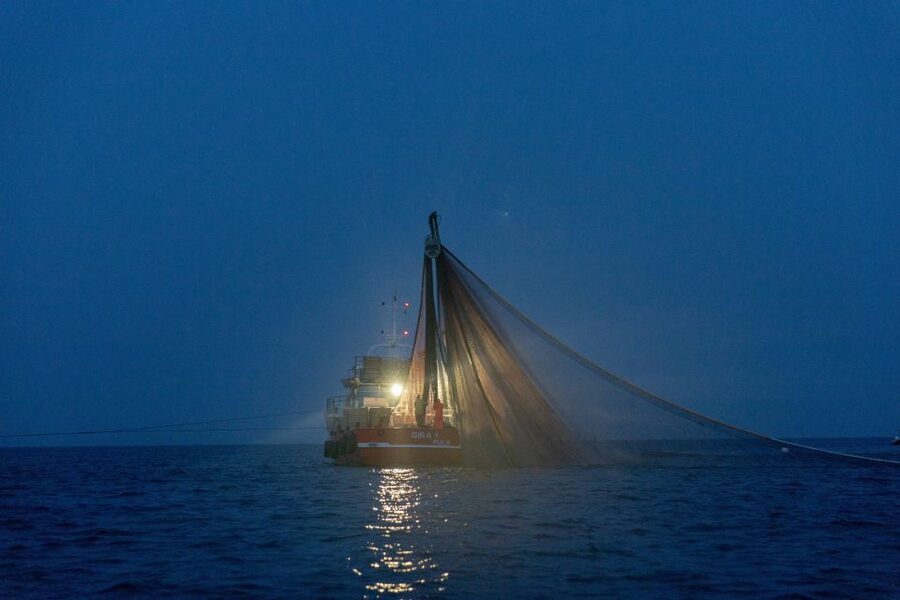 Rovinj: Sunrise Dolphins & Fishermen at Work Speedboat Tour - Logistics in Rovinj: where to meet and how to find the boat