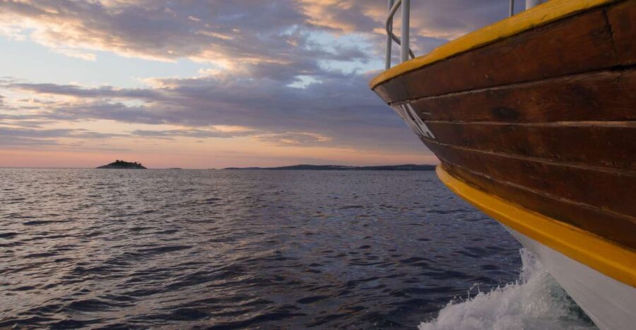 Rovinj: Sunset Boat Trip with Dolphin Watching - Key Highlights You’ll Feel Fast