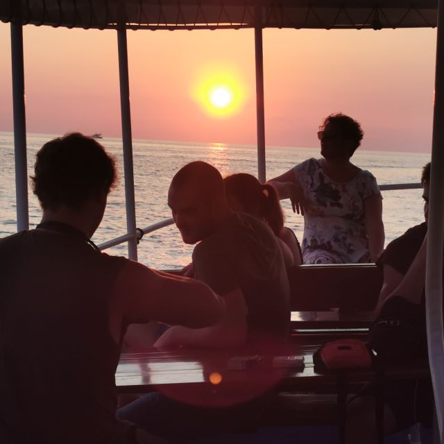 Rovinj: Sunset Boat Trip with Dolphin Watching - The Dolphin-Watching Leg: A Real Wild Encounter