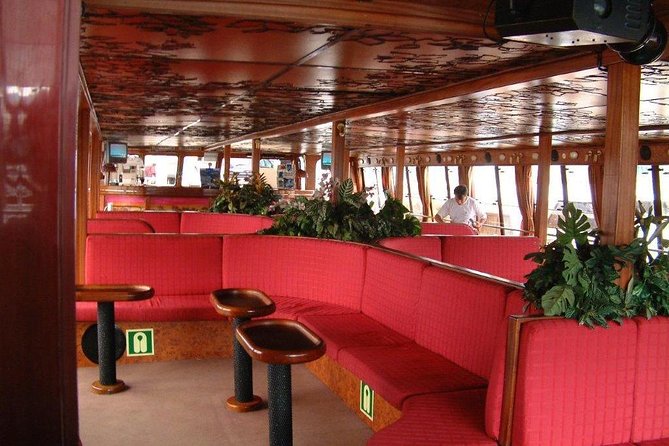 Royal Delfin - 2Hour Sustainable Dolphin & Whale Watching Mini Cruise - Should you book Royal Delfin’s 2-hour dolphin and whale cruise?