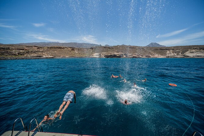 Royal Delfin 3H Dolphin & Whale Watching! Swimming & Lunch! - Who should book this (and who should think twice)