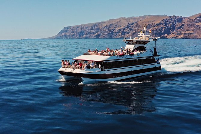 Royal Delfin - 4'5H Dolphin & Whale Watching - Los Gigantes Masca - Lunch & Swim - The cetacean search along Tenerife’s southwest coast