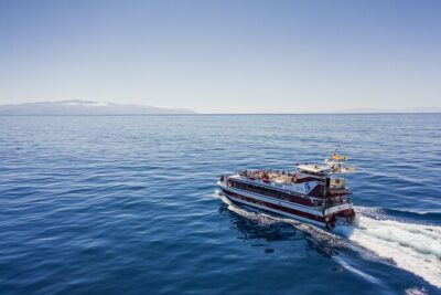 Royal Delfin - 4'5H Dolphin & Whale Watching - Los Gigantes Masca - Lunch & Swim - Underwater viewing windows: why this matters for spotting cetaceans