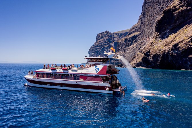 Royal Delfin - 4'5H Dolphin & Whale Watching - Los Gigantes Masca - Lunch & Swim - Los Gigantes scenery: the coast works as a backup plan