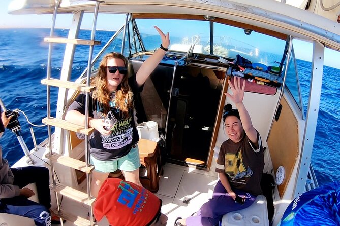 Royal Dolphin House Sea Trip Hurghada - Dolphin House encounters: observe well, swim thoughtfully