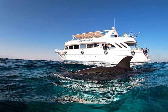 Royal Dolphin House Sea Trip Hurghada - Lunch onboard and staying comfortable through 7 hours