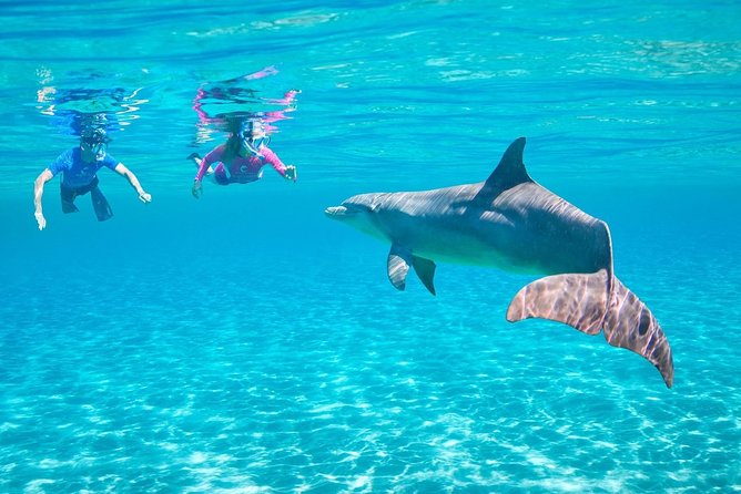 ROYAL Dolphin House & Water Sports Snorkeling Sea Trip - Hurghada - Quick hits (the stuff that matters)